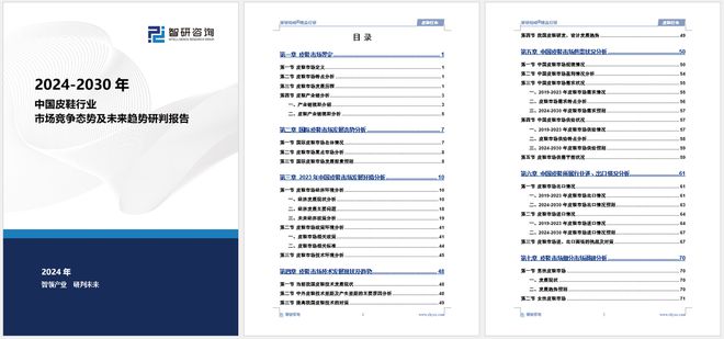 分析、市场供需态势及未来前景预测OG视讯皮鞋分析报告：发展环境(图4)