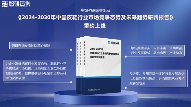 分析、市场供需态势及未来前景预测OG视讯皮鞋分析报告：发展环境(图2)
