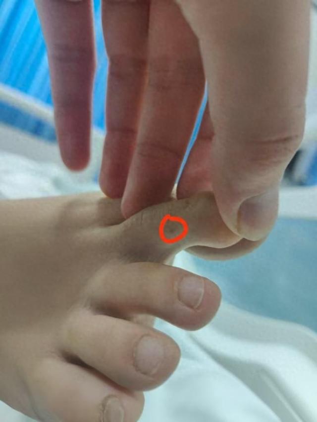应质疑：没提任何索赔只希望调查清楚OG视讯三亚身亡女游客堂姐直播回(图2)